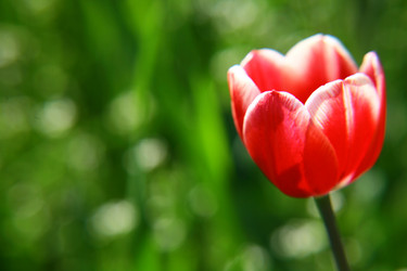 Similar image 644611