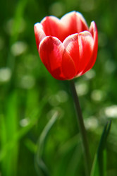 Similar image 644615