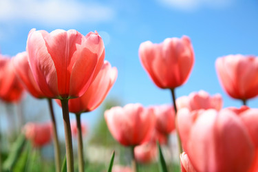 Similar image 644622