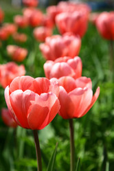 Similar image 644623