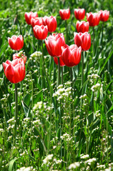 Similar image 644627