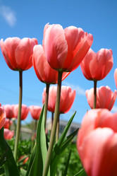 Similar image 644649