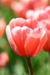 Similar image 644653