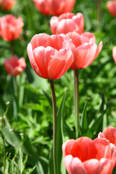 Similar image 644654