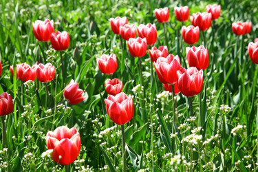 Similar image 644655