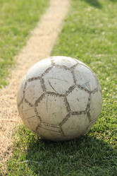 Similar image 644697