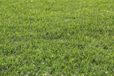 Similar image 644725