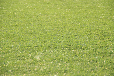 Similar image 644729