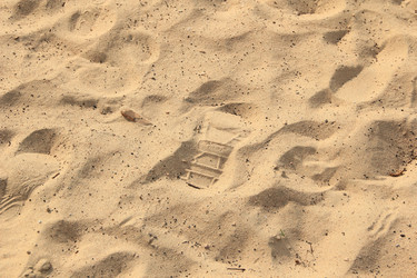 Similar image 644738