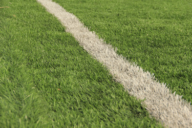 Similar image 644759