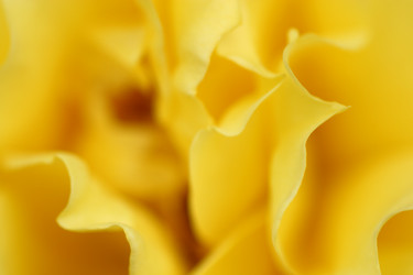 Similar image 644761