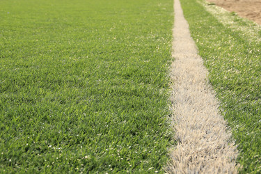 Similar image 644762