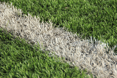 Similar image 644772