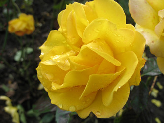 Similar image 644813