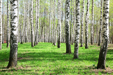 Similar image 644817