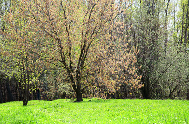 Similar image 644818