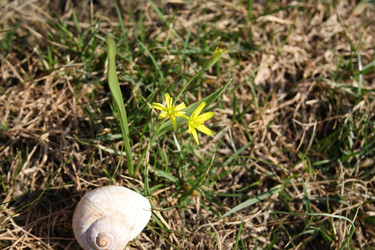 Similar image 644822