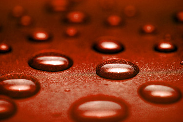 Similar image 644885