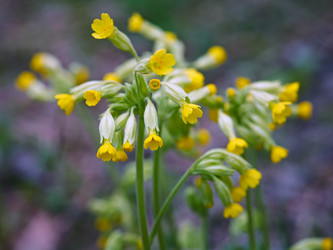 Similar image 644894