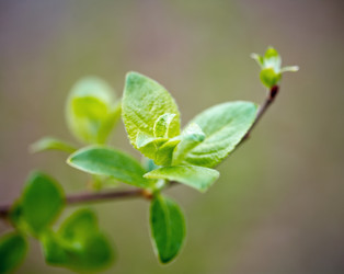 Similar image 644895