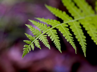 Similar image 644896