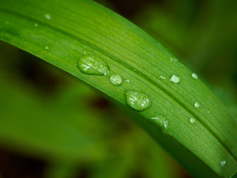 Similar image 644897