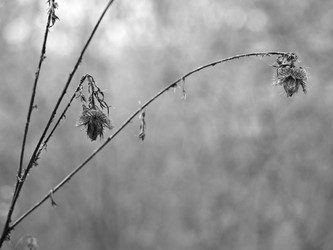 Similar image 644898