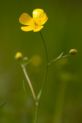 Similar image 644906