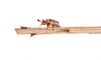 Similar image 644907