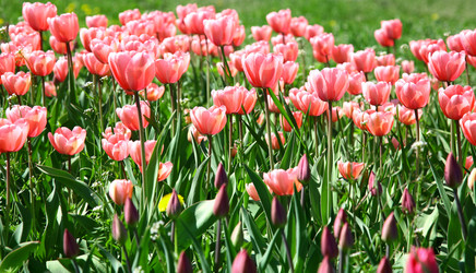 Similar image 644908