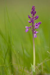 Similar image 644930