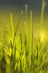 Similar image 644934