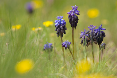 Similar image 644935