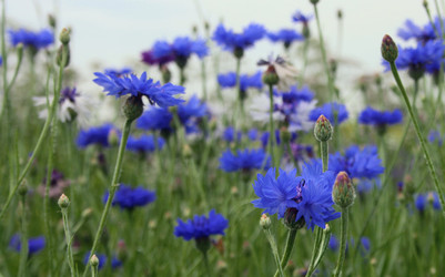 Similar image 644940