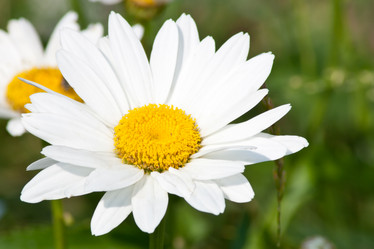 Similar image 644941