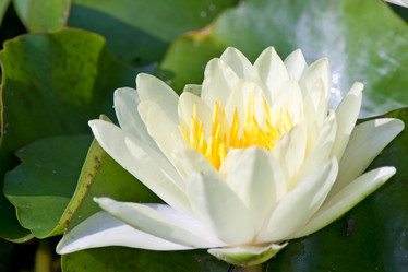 Similar image 644942