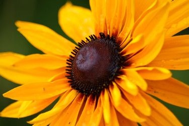 Similar image 644944