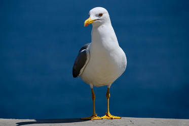 Similar image 645044