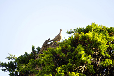 Similar image 645061