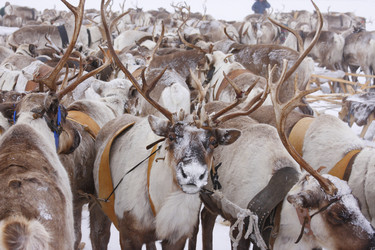 Similar image 645189