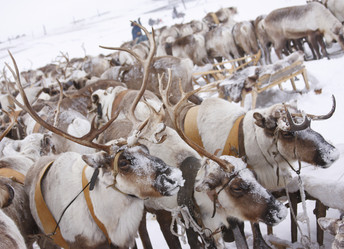 Similar image 645190