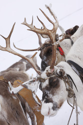 Similar image 645196