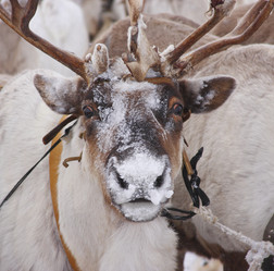 Similar image 645206