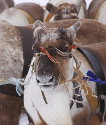 Similar image 645213