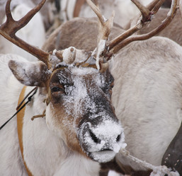 Similar image 645217