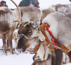 Similar image 645218