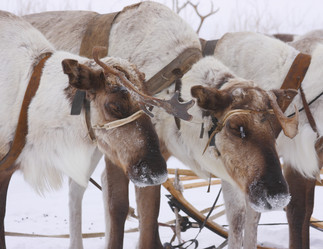 Similar image 645219