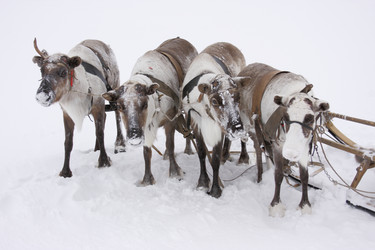 Similar image 645222