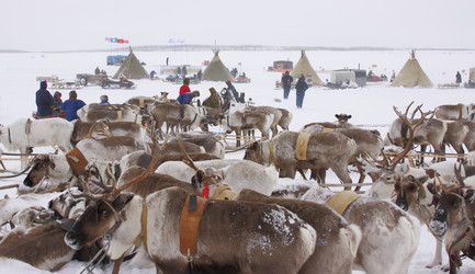 Similar image 645226