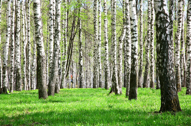 Similar image 645233